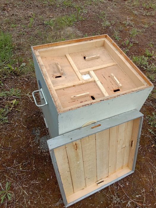 Вулик квадратний