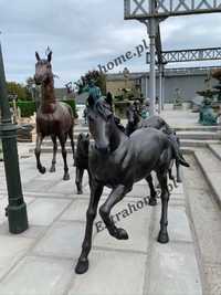 Koń z brązu rzeźba . Figura konia z brązu