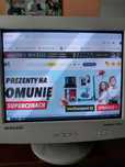 Monitor Samsung SyncMaster 753 DFX
