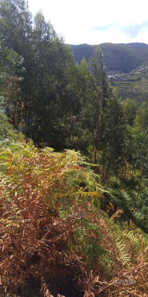A 2kms dos Passadiços DO PAIVA.