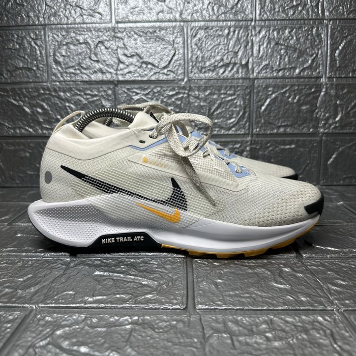 Чоловічі кросівки Nike Pegasus Trail 5 Gtx FQ0912-003