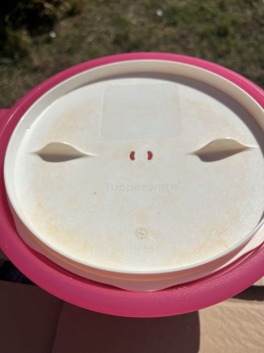 Tupperware arroz