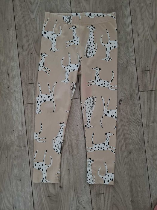 Legginsy Coccodrillo 104