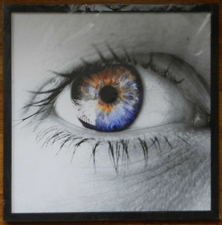 Nowy foto obraz w drewnianej ramie, oko, 63,5 x 63,5 cm