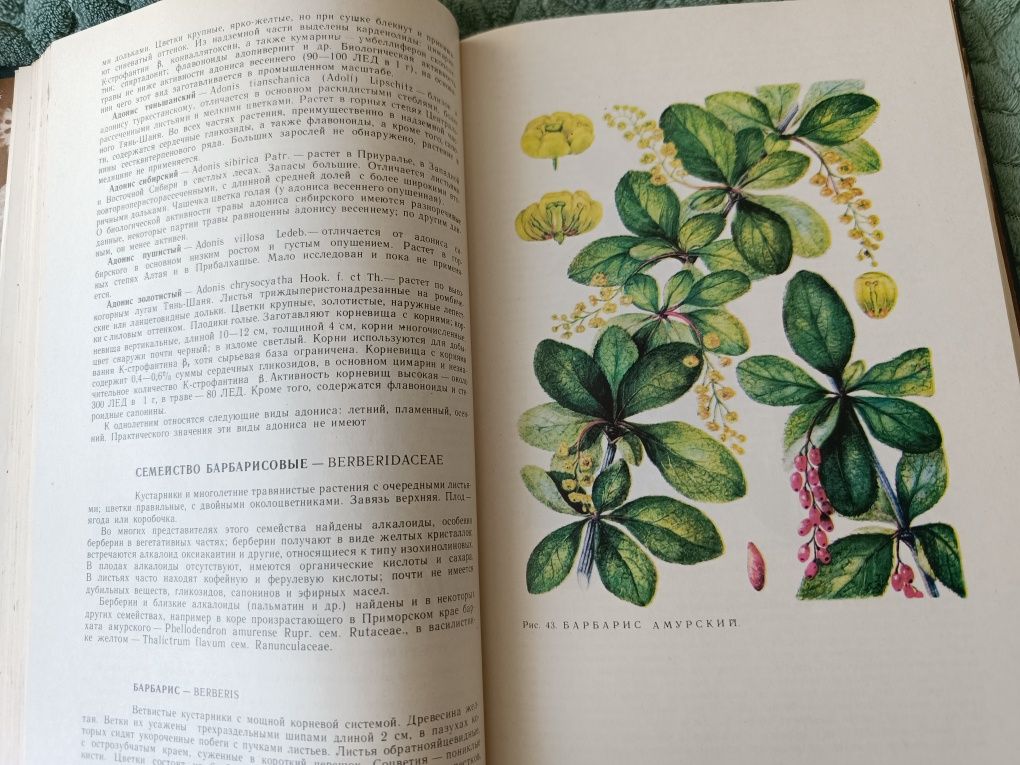 Книга Дикорастущие лекарствен. растения СССР