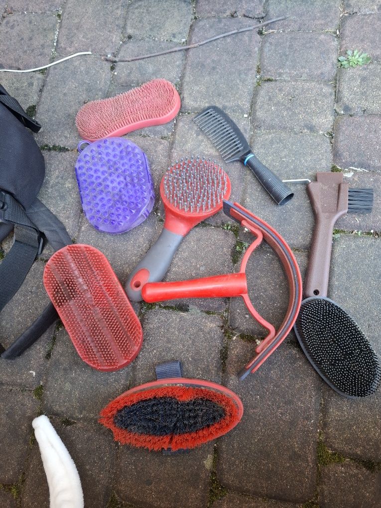 Zestaw szczotek z torbą york