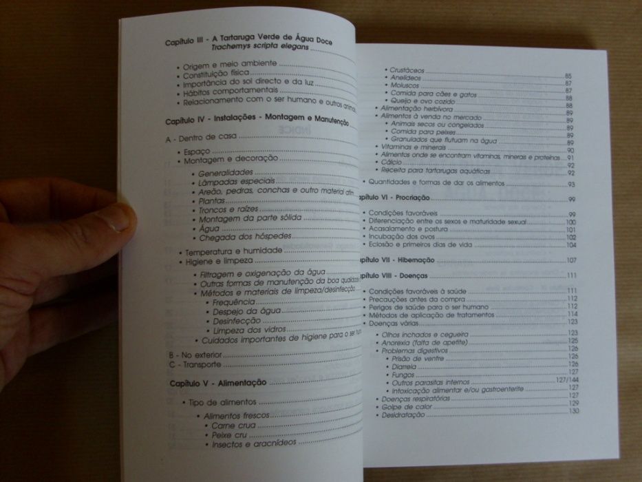 A Tartaruga Verde de Água Doce de Inês Freire de Andrade