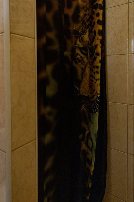 Будинок у Карпатах з банею та каміном "Перлина Прикарпаття"