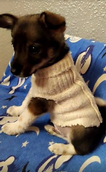 Терміново шукаємо сім'ю для хлопчика