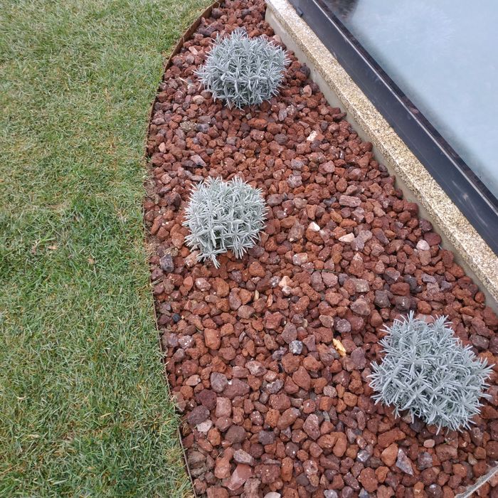 Jardinagem e paisagismo