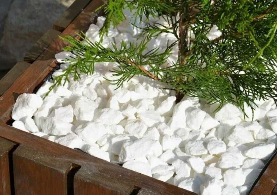Kamienie ogrodowe dalmatyńczyk biała marianna na groby