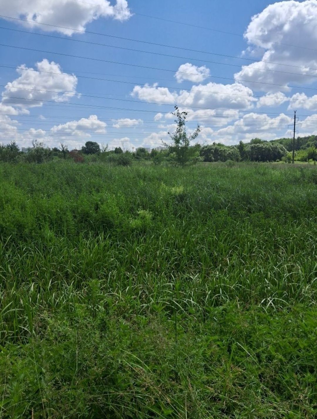 Земельна ділянка Рясне Руське