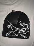 Arc'teryx Bird Head Toque Orca
