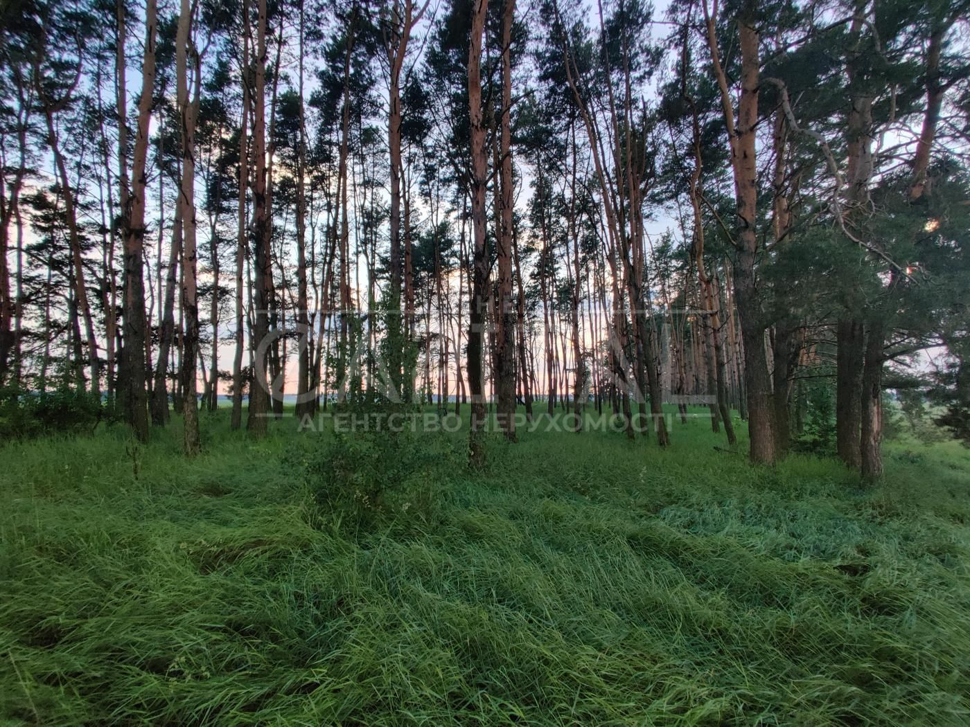 Продаж ділянки, с. Рожів, Маркарівський р-н