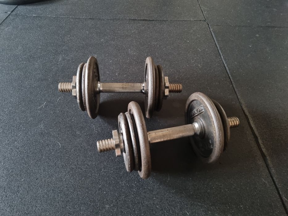 Hantelki do domowej siłowni 2x10kg