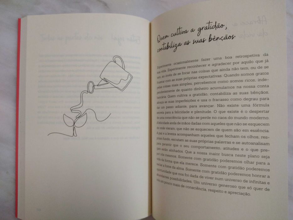 Livro O Universo Protege os Corajosos