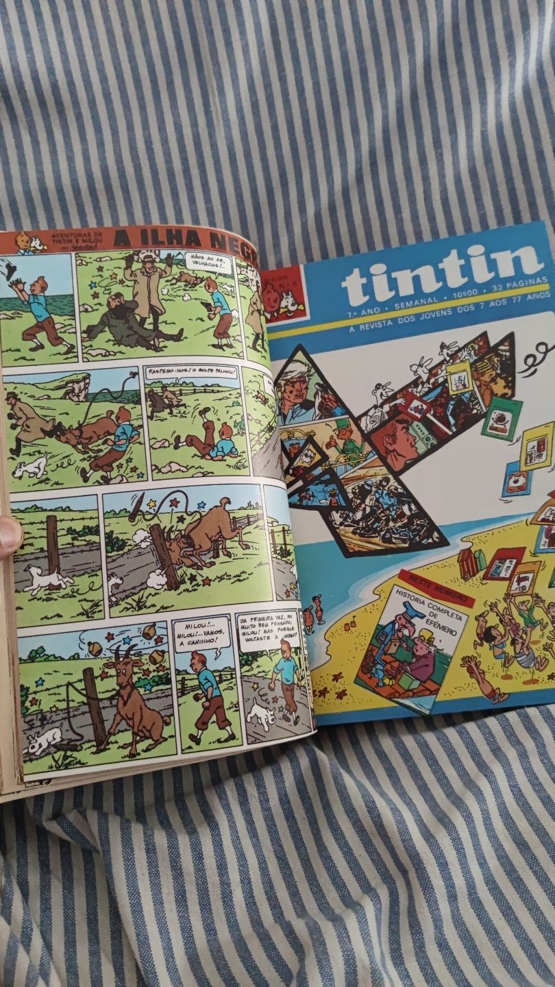 Album Tintin N13, encadernação de origem - 7 ano, 1° volume