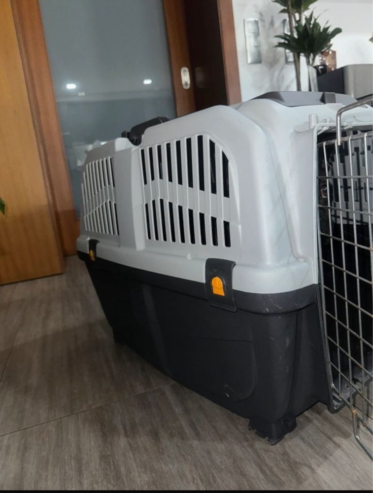 Transportadora SKUDO Porte Médio
