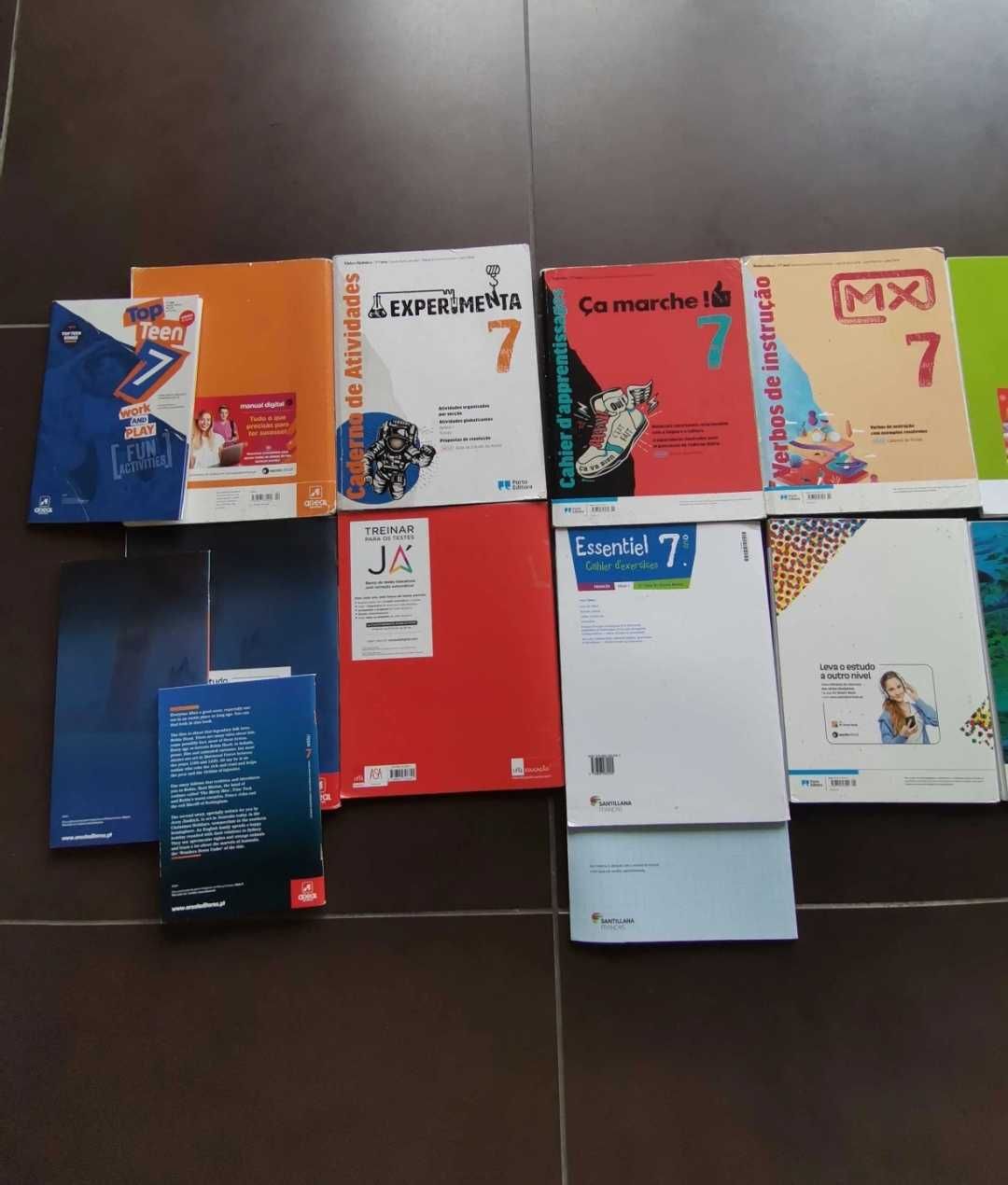Manuais e Livros de fichas do 7°Ano