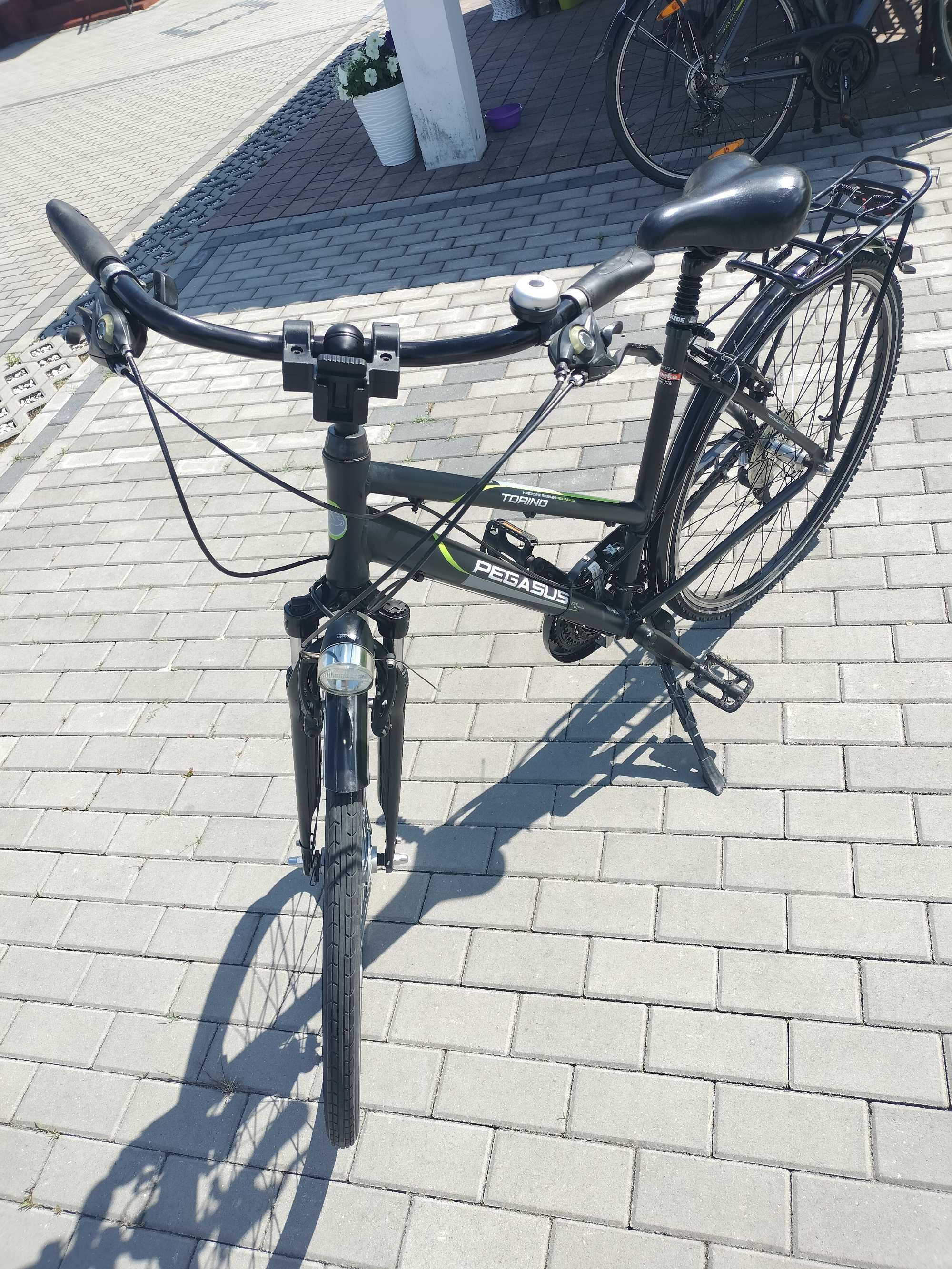 Rower Pegasus Torino