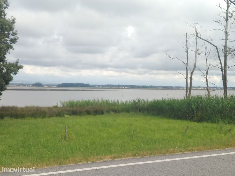 Quintinha - Isolada -Junto  Ria De Aveiro