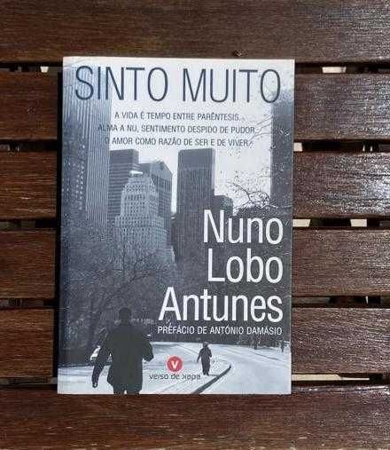 Sinto muito (livro)