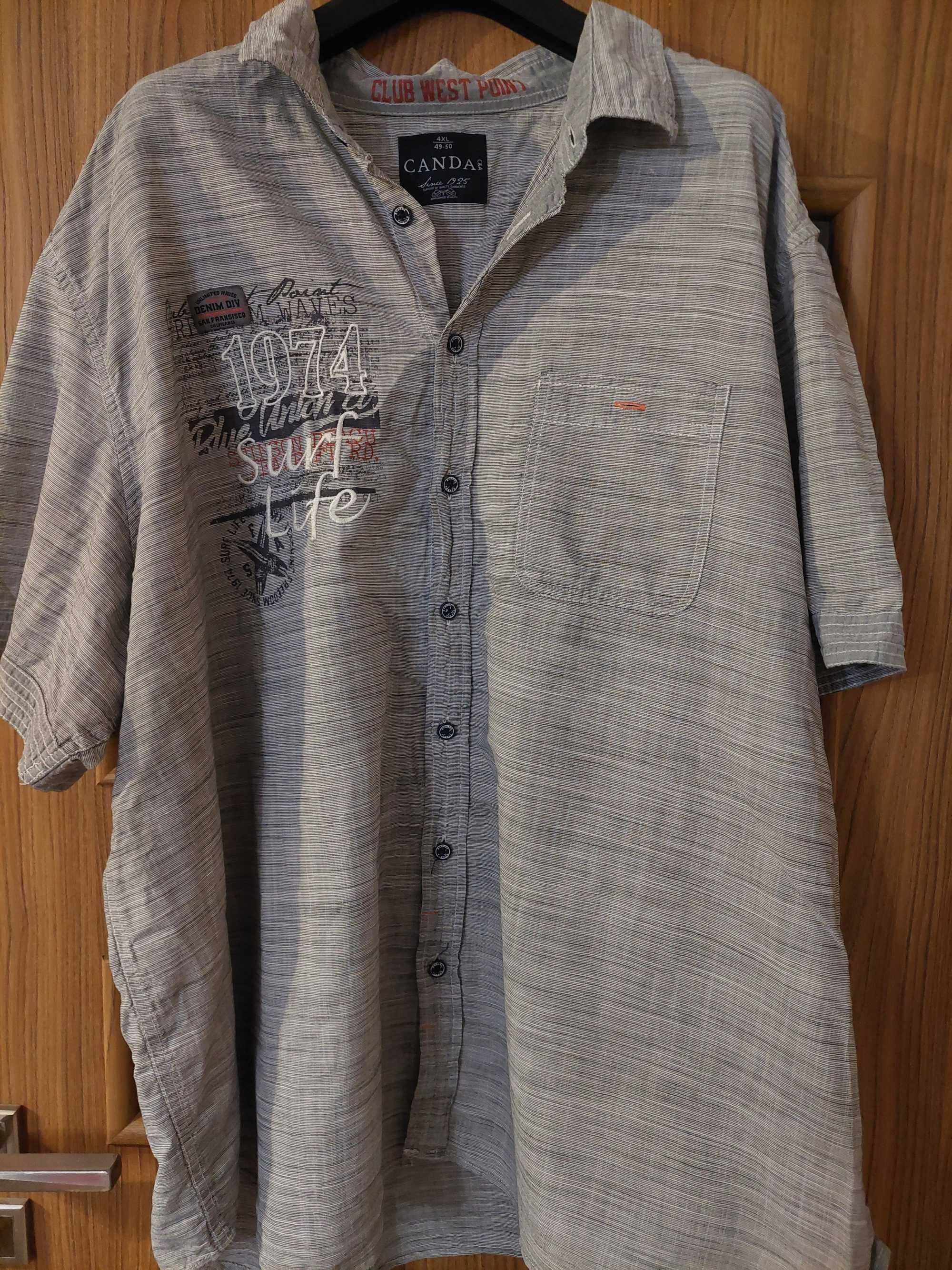 koszula szara C&A 4XL, 49-50