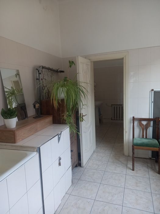 Здам офіс в центрі міста без комунальних послуг