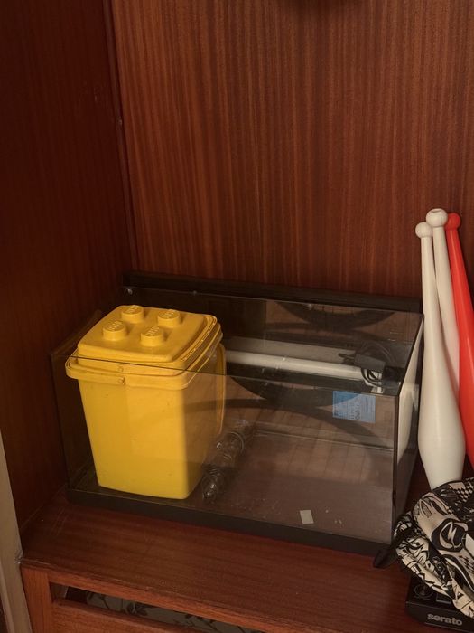 Aquario de 60 litros mais extras