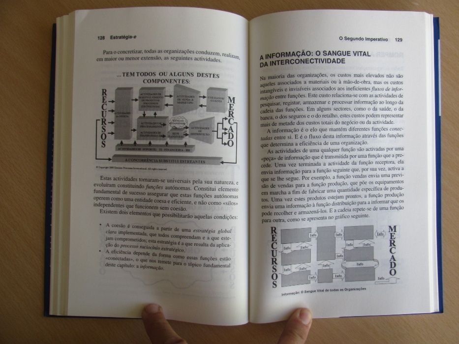 Estratégia-e, pura e& simples de Michael Robert e Bernard Racine