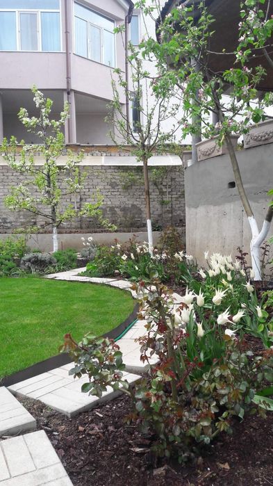 Сдам дом  Совиньон генератор 3 к евроремонт,место для авто можно живот