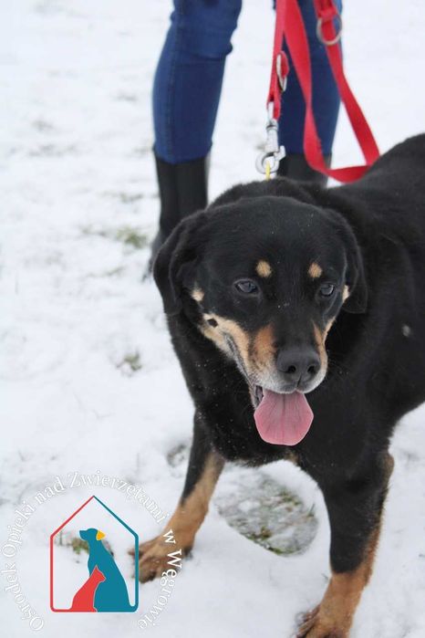 Z radością się przytula, rozdaje buziaczki, lubi się bawić i wygłupiać