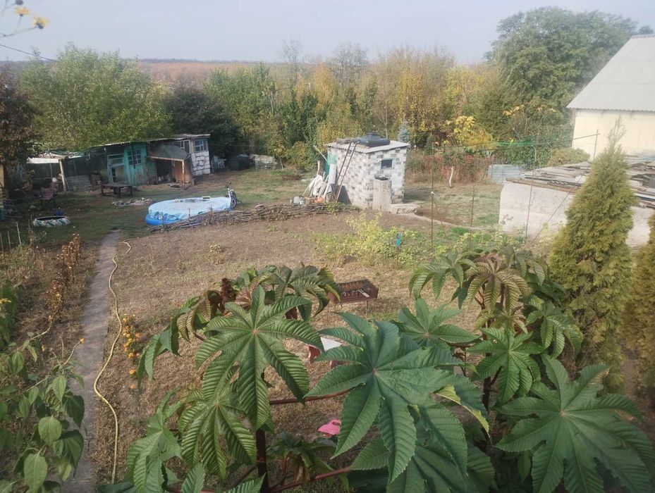 Продам дом под реконструкцию в Диевке