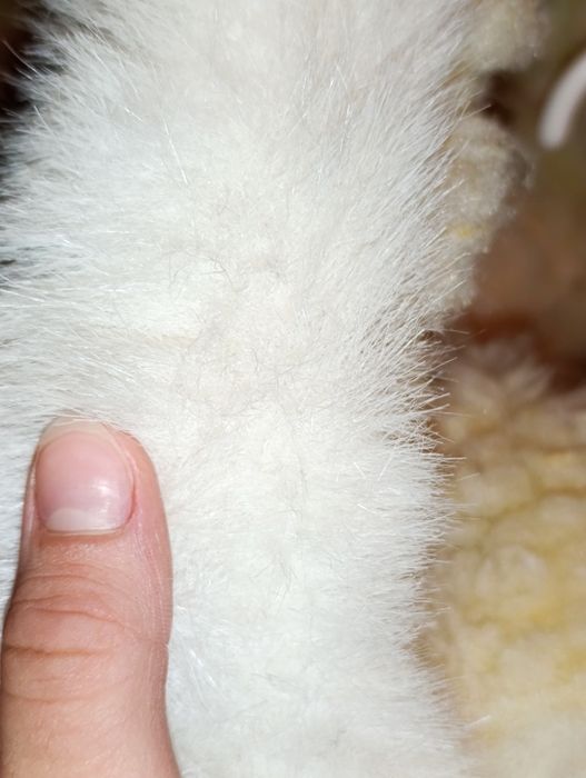 Комбінезон для хлопчика зимовий