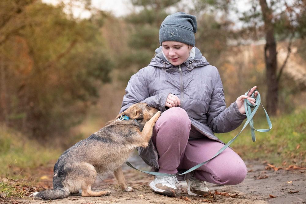 ALAYA - psi podrostek za kratami, sunia młodzinka ok. 10 miesięcy