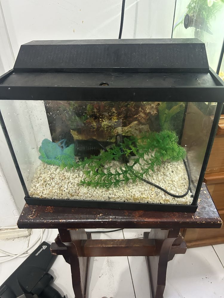 Aquario 14 litros