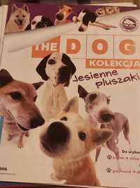 The dog kolekcja. Czasopisma oraz cztery pieski