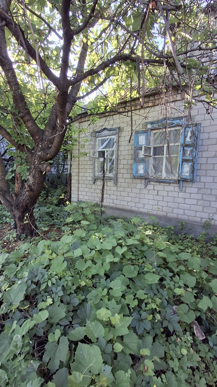 Продам дом в Каменськом