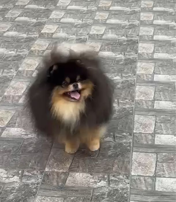 Супер красень чекае дам