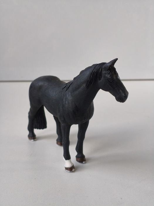 Коні шляйх. Кінь. Лошадь.