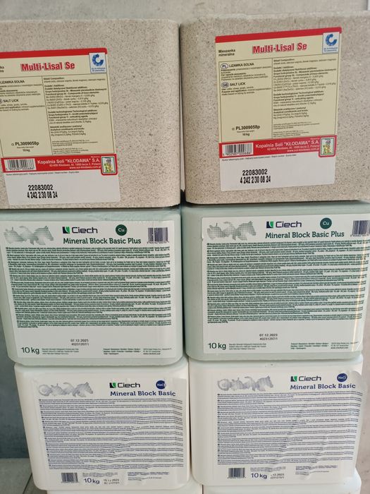 Lizawka solna Basic Basic Plus i Max
