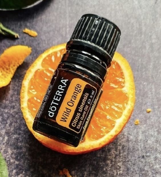 Zestaw doTerra Intro + gratis dzika pomarańcza 5ml