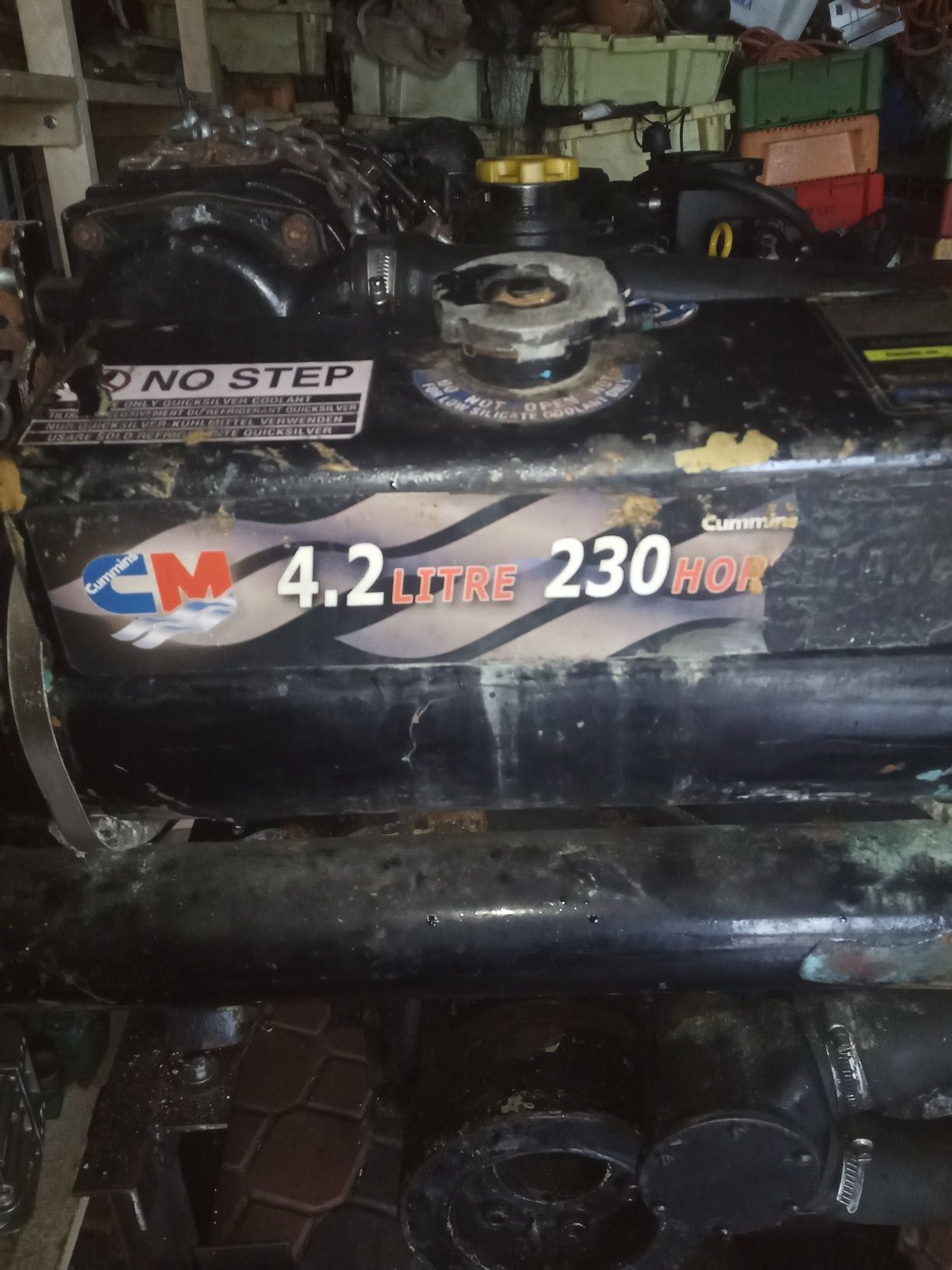 Silnik Mercruiser 4,2 230 HP Diesel