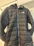 Casaco the north face