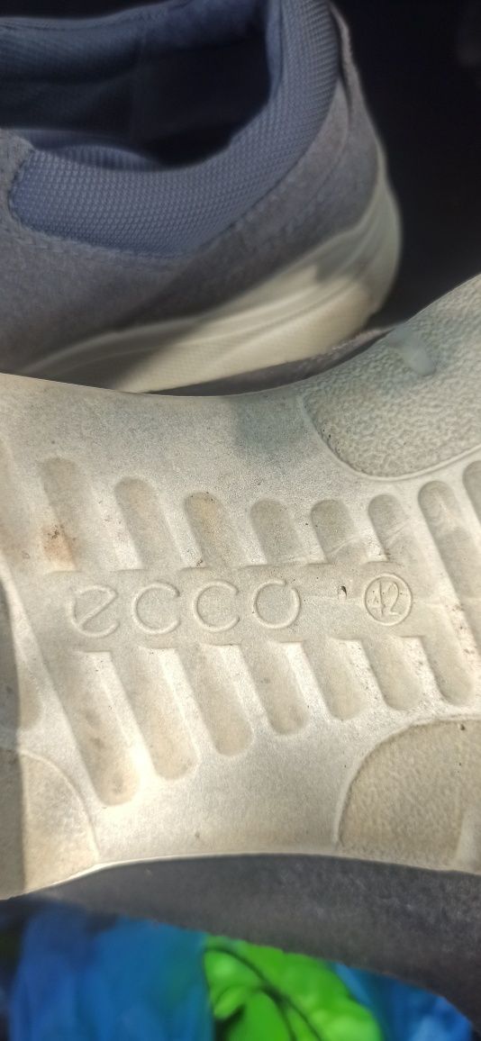 Tênis homem ecco