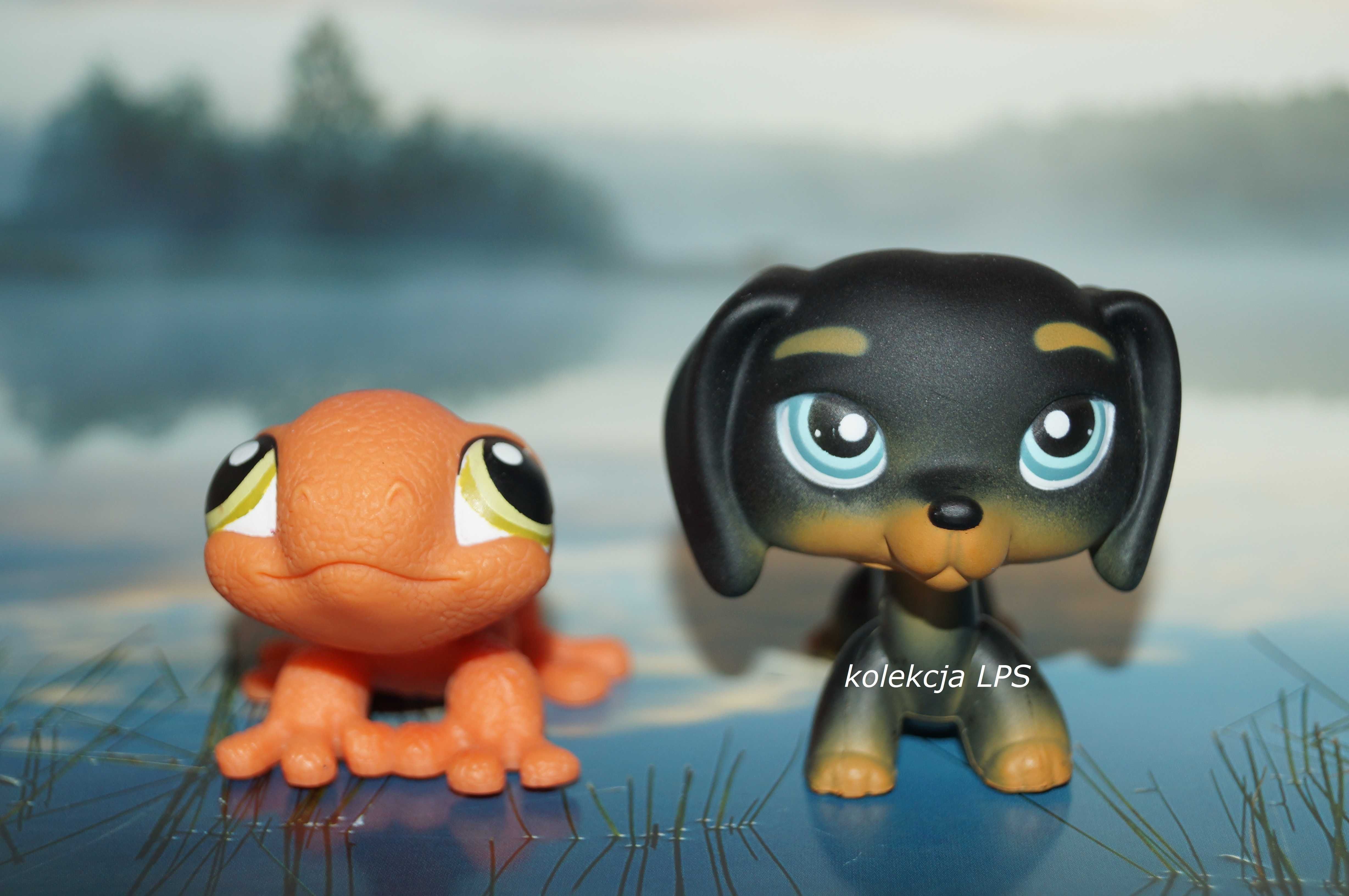 LPS Littlest Pet Shop jamnik #325 gekon #326 oryginalny pop oryginał