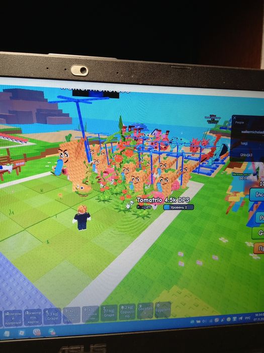 Продаю растение против брейнрот ще є брейнроти писать лс