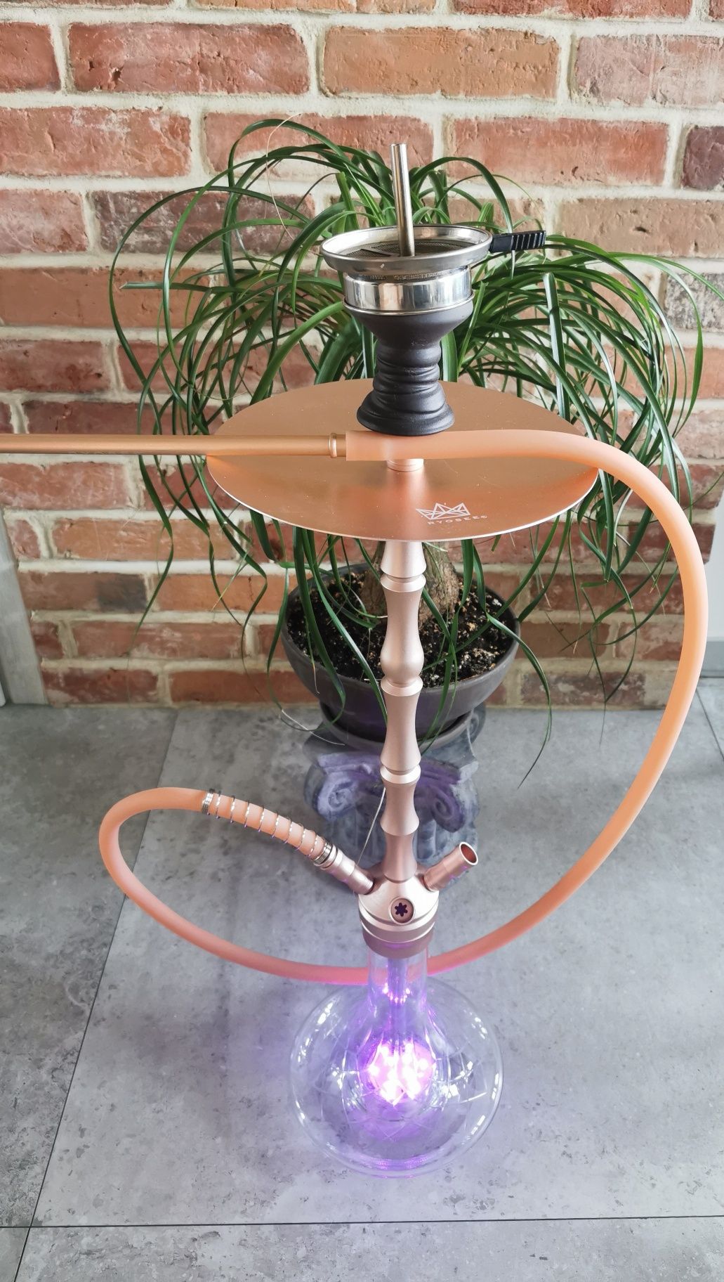 Shisha fajka wodna 4 wężowa