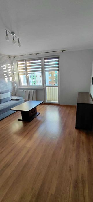 Kawalerka do wynajęcia