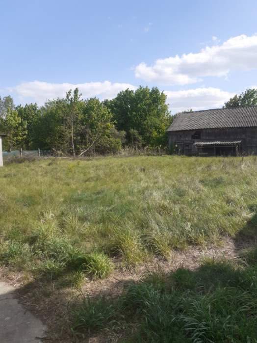 sprzedam działki rolne budowlane siedlisko kamionna koło łochowa